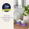 Lansinoh organikus bimbóvédő balzsam – 60 ml
