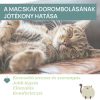 Chicco dorombolós plüsscica vibrációval és klasszikus dallamokkal