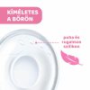 Chicco tejgyűjtő és mellbimbóvédő kagyló – 2 db