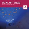 ZAZU Cody rák óceánprojektor mozgó vetítéssel és nyugtató hangokkal