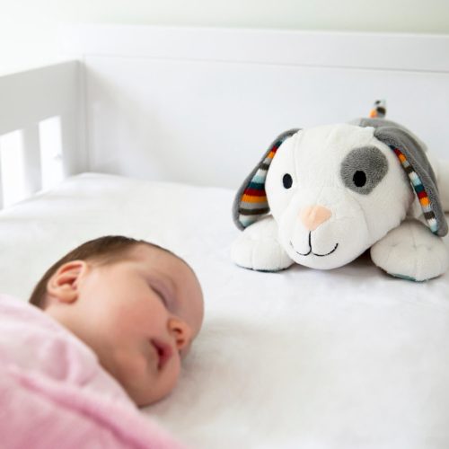 ZAZU Dex zenélő babanyugtató plüsskutya fehér zajjal és sírásérzékelővel
